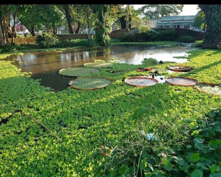 Hotel Alto Amazonas Летісія Екстер'єр фото